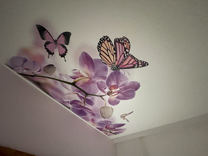Pinglagede paigaldus LAED24 (9 foto / 9)