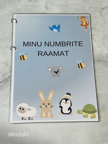 Minu numbrite raamat