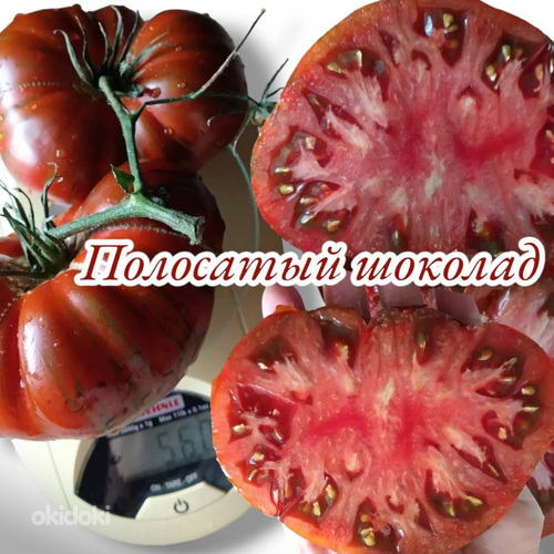 Семена томатов