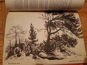 Noorustuli. Tallinna 46.Keskkooli almanahh. Raivo Järvi (6 foto / 8)