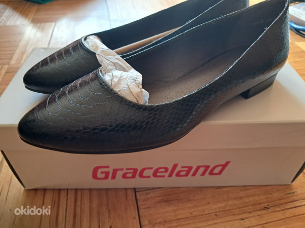 Graceland kingad nr.36
