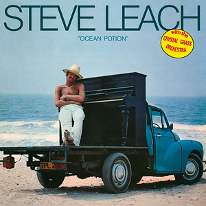 Steve Leach with The Crystal Grass Orchestra - Ocean Potion (1 foto / 2)