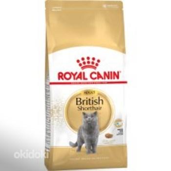 10% allahindlust tõugidieetidele kassidele Royal Canin (foto #3)