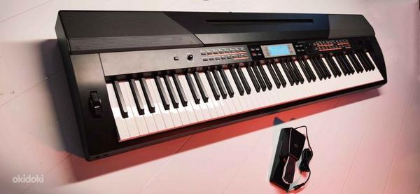 Цифровое сценическое фортепиано DP Advance, 88 клавиш Hammer (фото #7)