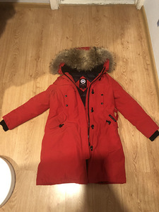 Canada goose (2 foto / 6)