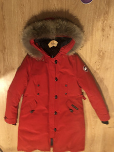 Canada goose (3 foto / 6)