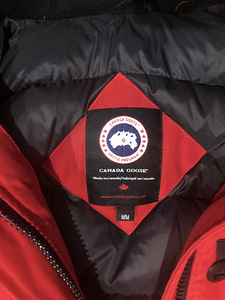 Canada goose (6 foto / 6)