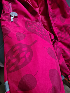 Kombinesoon lenne 86 (3 foto / 4)