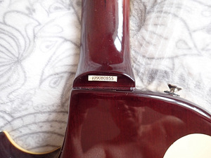 Vintage V100 Flamed Iced Tea (2 foto / 3)