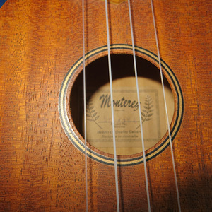 Ukulele Monterey MU-175 M (4 foto / 7)