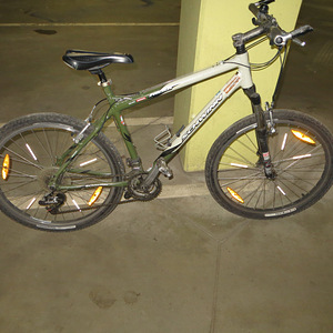 Schwinn (1 фото из 6)