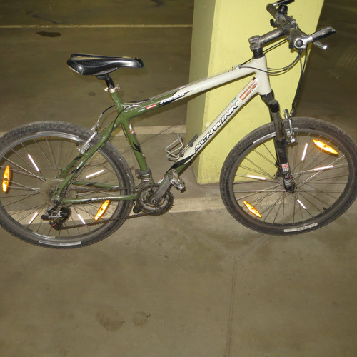 Schwinn