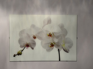 Klaasmaal orhidee 70x100 (1 foto / 1)