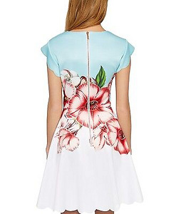 Ted Baker Maevea kleit, suurus 4 (2 foto / 3)