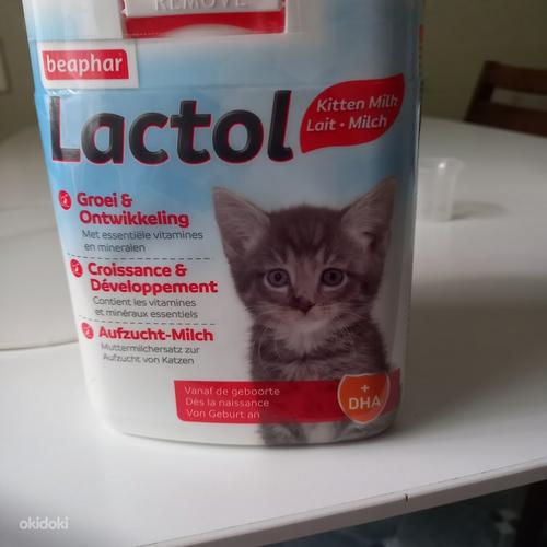 Piim vastsündinud kassipoegadele Baby milk to (foto #1)