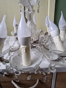 Laelamp. (2 foto / 2)