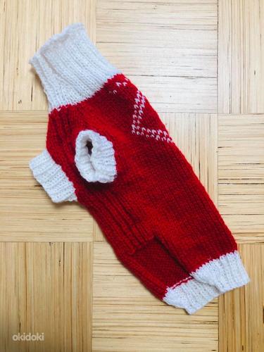 Тёплый вязаный свитерок домашнему любимцу (фото #1)