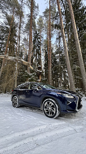 Lexus RX 450h Premium + CarPlay 3.5 193kW (4 foto / 15)