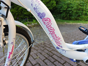 Велосипед Bottecchia белый (3 фото из 8)