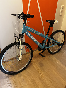 Jalgratas noortele Proximo 24" (2 foto / 2)