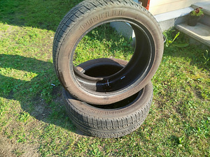 Suverehvid (3 foto / 3)