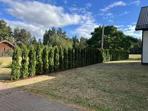 Elupuude Müük ja istutamine. (1 foto / 4)