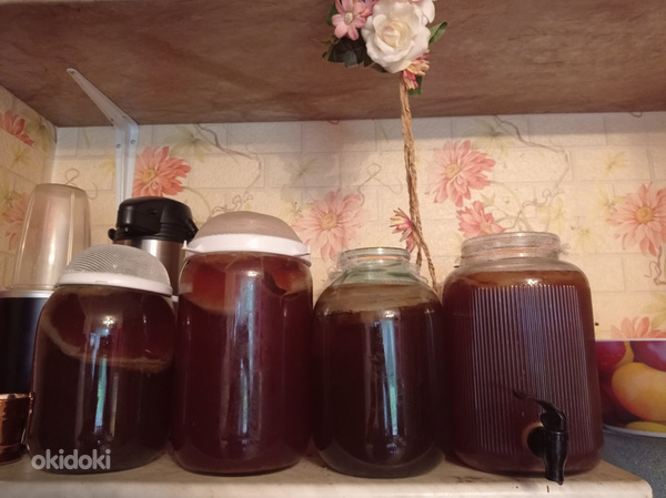 Kombucha.