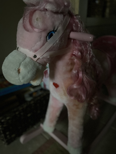 Kiikhobune poni