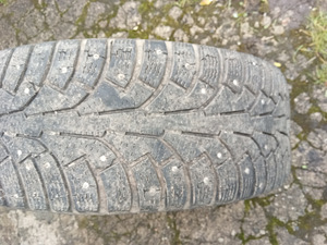 Veljed ja rehvid (2 foto / 2)