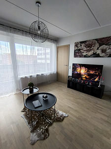 Liikuri tn 5b, Lasnamäe, Tallinn, Harjumaa (8 foto / 28)
