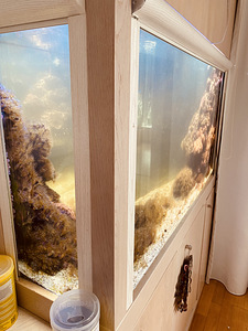 Морской аквариум (4 фото из 10)