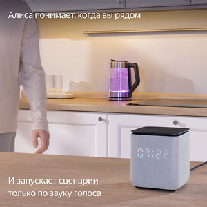 Yandex Alisa Midi nutikõlar koos ZigBee-ga (5 foto / 8)
