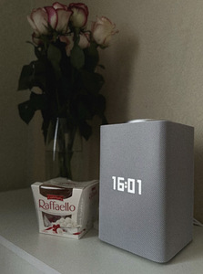 Alice Yandex MAX ZigBee nutikõlar nutikas kodu (9 foto / 10)