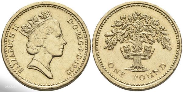 1 фунт Великобритании. (фото #3)