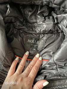 Hollies talvejope (2 foto / 3)