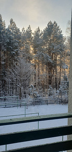 Korter vaatega metsale – rahulikuks ja tervislikuks eluks. (15 foto / 26)