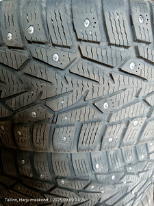 Nokian Norman 7 naastrehvid (2 foto / 7)
