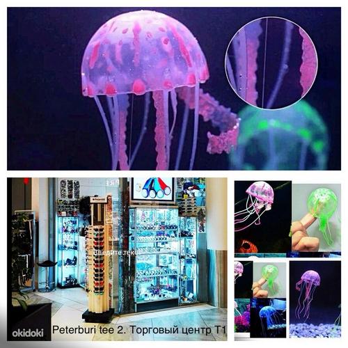 Akvaarium: kunst silikoonist säravad meduusid (foto #3)