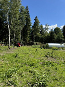 Ekskavaatori ja laaduritööd (6 foto / 8)