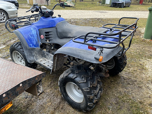 Suure raamiga 260cc atv (1 foto / 5)
