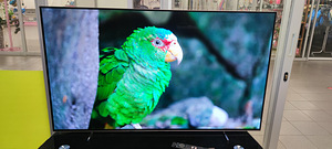 55 Philips 4K Uhd Hdr OLED Ambilight smart tv garantii (2 foto / 2)