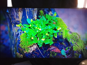 43 Samsung 4k hdr smart led tv garantii (2 foto / 3)