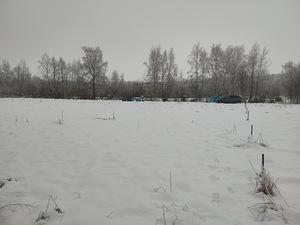 Üürile anda maad 1137m2 (9 foto / 13)