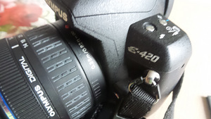 Olympus E-420 (8 фото из 10)