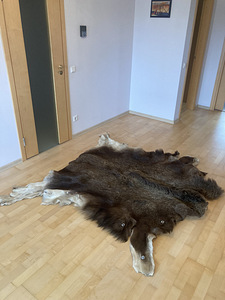 Põdranahk / põdra nahk (1 foto / 2)