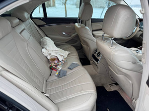 MERCEDES-BENZ S 350 BLUETEC (8 foto / 15)