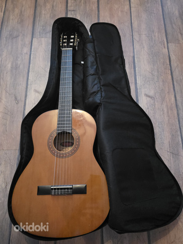 Guitar