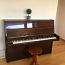 Klaver RIGA kohaletoimetamine Tallinnas on hinna sees (foto #1)