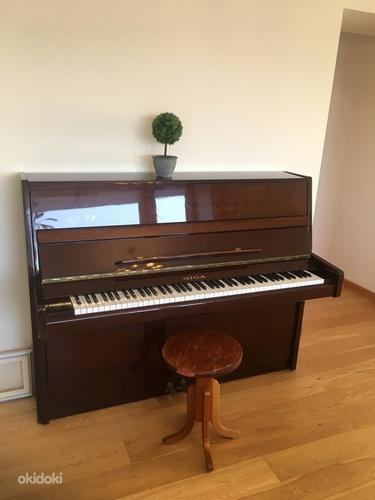 Klaver RIGA kohaletoimetamine Tallinnas on hinna sees (foto #1)