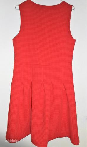 Punane paksmaterjalist veniv kleit, L/40-42 (foto #7)